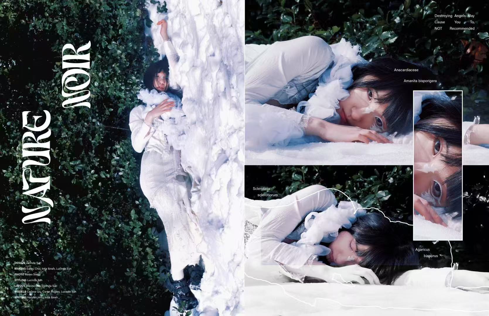 Infinite Magazine Preview